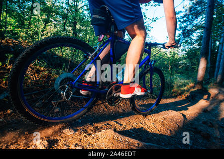 Mann auf Mountainbike Touren auf den Spuren durch den Wald und dabei extrem schnell. Stockfoto
