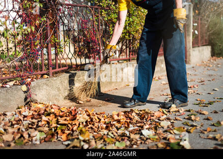 Mann brooming auf die Straße gefallenen Blätter im Herbst zu sammeln Stockfoto