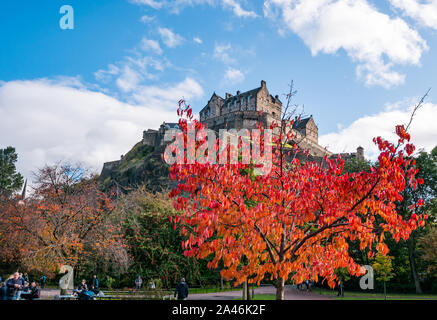 Princes Street Garden, Edinburgh, Schottland, Großbritannien, 12. Oktober 2019. UK Wetter: Die Menschen in Edinburgh genießen einen schönen warmen, sonnigen Herbsttag in der Hauptstadt. Ein farbenprächtiger orangefarbener Herbstbaum mit Edinburgh Castle-Felsen Stockfoto