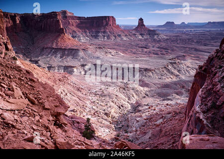 Blick auf Leuchter Turm von False Kiva in der Insel im Himmel Der Canyonlands National Park, Utah, USA Stockfoto