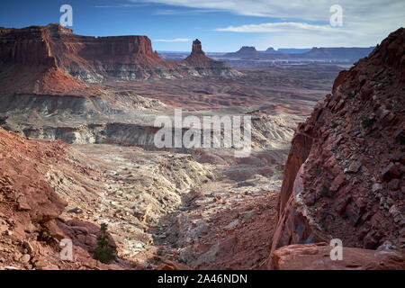 Blick auf Leuchter Turm von False Kiva in der Insel im Himmel Der Canyonlands National Park, Utah, USA Stockfoto