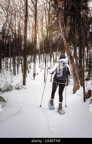 Auf der Rückseite einer jungen Frau Schneeschuhwandern im Wald Stockfoto