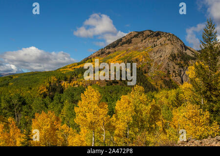 Herbstliche Farben auf dem Berg auf Ohio, in der Nähe von Crested Butte, Colorado. Stockfoto