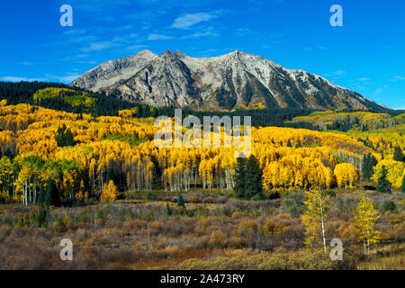 Bunte Herbstfarben auf Kebler Pass in der Nähe von Crested Butte, Colorado Stockfoto