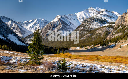 Schnee caped Bergspitzen oben fallen Büsche entlang eines Baches Stockfoto