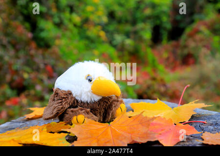 Ein Spielzeug, weiße und braune Vogel sitzt auf einem Baumstumpf auf einem Baum Blätter fallen vor dem Hintergrund einer goldgelben Bäume und Blätter. Herbst Park Stockfoto