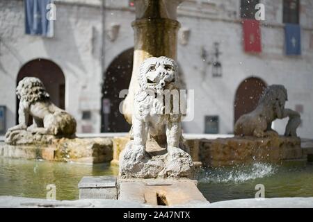 Detail eines Löwen Skulptur eines Brunnens auf dem Marktplatz von Assisi, Italien Stockfoto