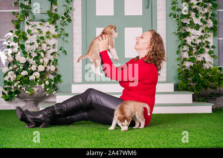Ziemlich kaukasischen Plus size Frau in Rot Pullover mit zwei cute Husky Welpen auf grünem Gras allein Stockfoto
