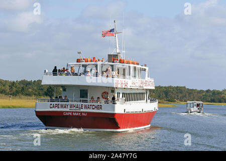 Ein Boot aus der Cape May Whale Watcher Flotte. Eine beliebte Besichtigungstour in Cape May, New Jersey, USA Stockfoto