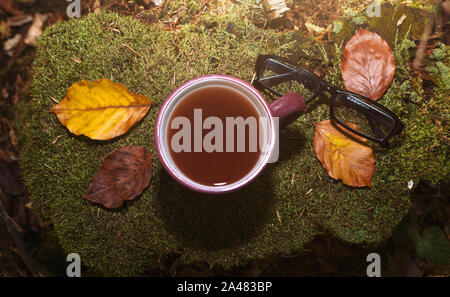 Tasse Kaffee und Gläser durch die Blätter im Herbst im Wald liegen auf den Stumpf umgeben. Flach, Ansicht von oben. Herbstliche Stimmung, fallen, Laub Konzept. Stockfoto