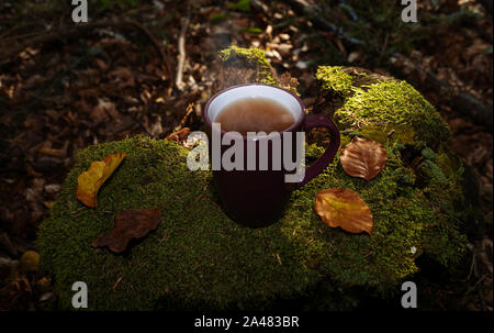 Dampfende Tasse heißen Tee durch Laub auf dem Baumstumpf im Wald umgeben. Herbstliche Stimmung, gemütliche Jahreszeit und Fall Konzept. Stockfoto