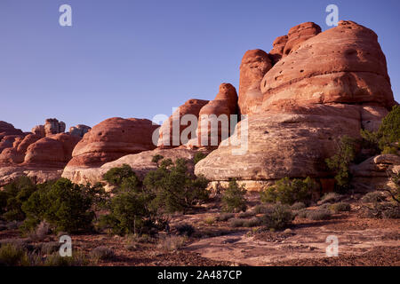 Felsformationen im Needles District des Canyonlands National Park, Utah, USA Stockfoto