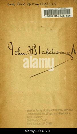 50 Jahre 'Fuchs - Jagd mit den Grafton und andere Verpackungen von Jagdhunde Stockfoto