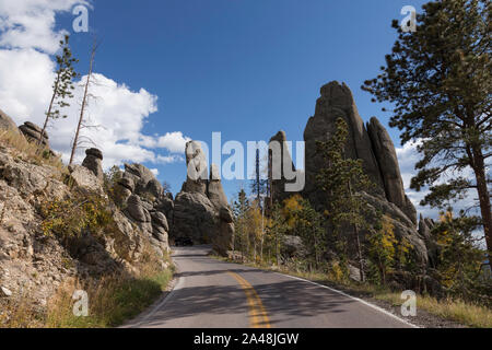 Nadeln-Highway im Custer State Park, South Dakota, USA Stockfoto