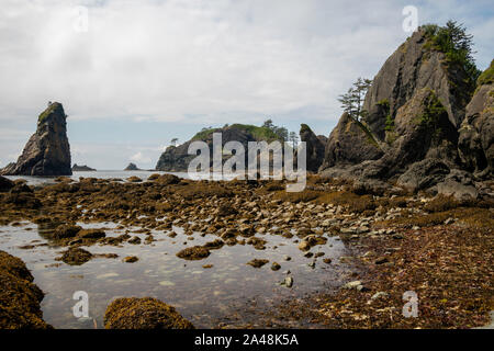 Der Arches Shi Shi Strand, Olympic National Park, Washington, USA. Stockfoto