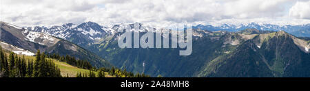 Der Blick von der Nähe des Hindernisses Peak Website der Olympic National Park, Washington, USA. Stockfoto