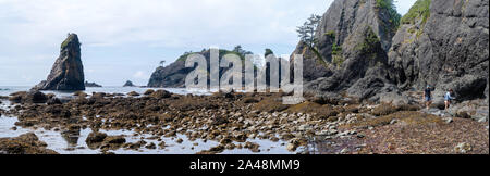 Der Arches Shi Shi Strand, Olympic National Park, Washington, USA. Stockfoto