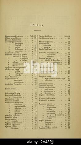 Flora von Mentone - moggridge - Index Seite 1 (1871). Stockfoto