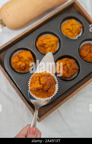 Kürbis-Muffins Stockfoto