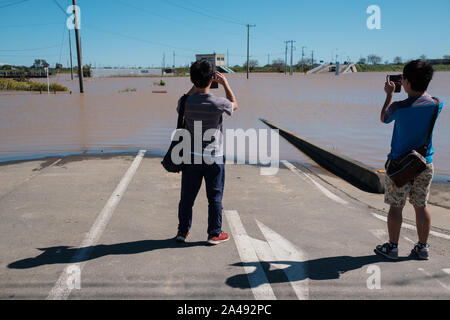 Kawagoe, Japan. 13 Okt, 2019. Zwei junge Zicklein nehmen Bilder einer Nachbarschaft in Kawagoe city überschwemmt, in Japan am 13. Oktober 2019. Leistungsstarke typhoon Hagibis und Nachwirkungen Flut riss über dem Land und tötete 11 Menschen und Dutzende von vermissten Personen. Kawagoe. Quelle: Lba Co.Ltd./Alamy leben Nachrichten Stockfoto