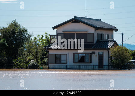 Kawagoe, Japan. 13 Okt, 2019. Ein Haus in der Mitte von einem Bereich in Kawagoe city überschwemmt, in Japan am 13. Oktober 2019. Leistungsstarke typhoon Hagibis und Nachwirkungen Flut riss über dem Land und tötete 11 Menschen und Dutzende von vermissten Personen. Kawagoe. Quelle: Lba Co.Ltd./Alamy leben Nachrichten Stockfoto