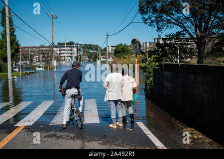 Kawagoe, Japan. 13 Okt, 2019. Die Leute schauen auf eine Nachbarschaft in Kawagoe city überschwemmt, in Japan am 13. Oktober 2019. Leistungsstarke typhoon Hagibis und Nachwirkungen Flut riss über dem Land und tötete 11 Menschen und Dutzende von vermissten Personen. Kawagoe. Quelle: Lba Co.Ltd./Alamy leben Nachrichten Stockfoto