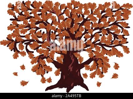 Abbildung: grosse Eiche Baum mit Blätter im Herbst. Stock Vektor