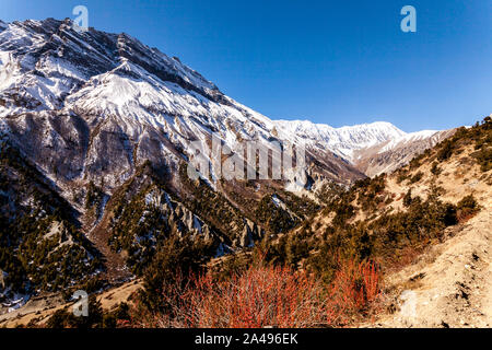 Auf dem Weg in Richtung des Tilicho See, Himalaya, Nepal Stockfoto