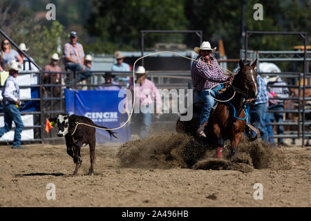 Los Angeles, USA. 12 Okt, 2019. Ein Cowboy führt in San Dimas Nächstenliebe Pro Rodeo in San Dimas, Los Angeles, USA, Oct, 12, 2019. Die zweitägige Veranstaltung startete hier Samstag. Quelle: Xinhua/Alamy leben Nachrichten Stockfoto