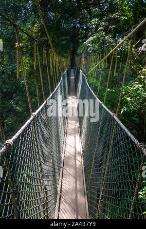 Hängebrücke in Taman Negara National Park, Malaysia Stockfoto