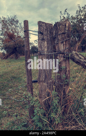 Alten zaun Beiträge auf der Weide Stockfoto