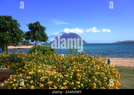 Porto San Paolo, Sardinien, Italien. Die Insel Tavolara im Hintergrund Stockfoto