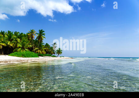 Kokosnuss Palmen am weißen Sandstrand in Saona, Dominikanische Republik. Stockfoto