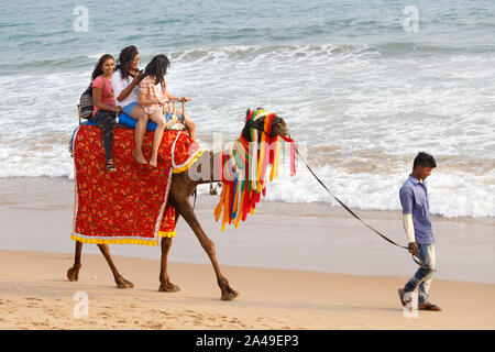 PURI, Indien, 12. JANUAR 2019: einige Touristen Frauen sind auf einem Kamel reiten entlang der Küste geleitet von der Dompteur Stockfoto