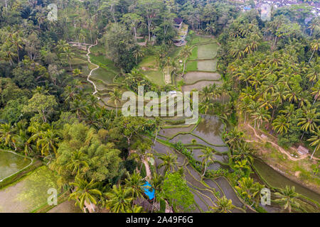 Antenne drone Bild von tegallalang Reis Reisfelder, in der Nähe von Ubud auf Bali, Indonesien Stockfoto