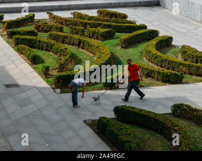 Madrid, Spanien - 13.Oktober 2019: Mann, Frau und Hund Spaß haben in einem Park in Madrid, Spanien Stockfoto
