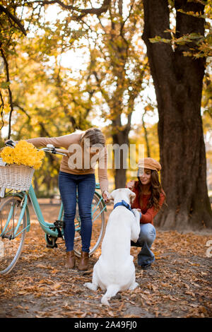 Zwei junge weibliche Freunde zu Fuß in den gelben Herbst park mit Hund und Fahrrad Stockfoto