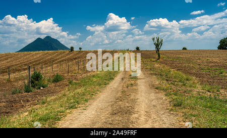 Ländliche Landschaft in der römischen Provinz zwischen Faleria . und Fiano Romano, in der Nähe von Civita Castellana, im Sommer Stockfoto