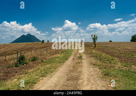 Ländliche Landschaft in der römischen Provinz zwischen Faleria . und Fiano Romano, in der Nähe von Civita Castellana, im Sommer Stockfoto