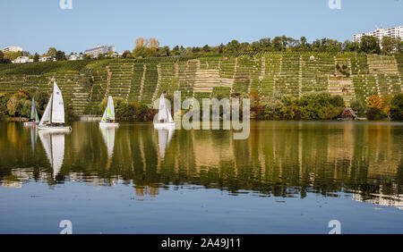 Stuttgart, Deutschland. 13 Okt, 2019. Segelboote sind zusammen mit Weinbergen in der Max-Eyth-See. Credit: Christoph Schmidt/dpa/Alamy leben Nachrichten Stockfoto