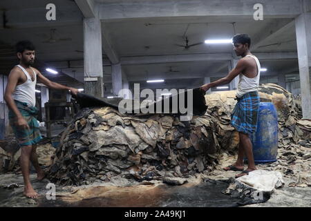 Saver Gerbereier Dhaka, Bangladesch 2019: Bangladesch Gerbereier verarbeiten Rohleder in einer Fabrik in der Saver Gerbereie in Dhaka, Bang Stockfoto