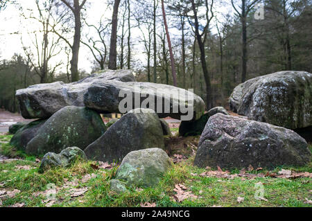 Große Steine auf grünem Gras in einem forest park, vor dem Hintergrund der Bäume, an einem Frühlingstag. Stockfoto