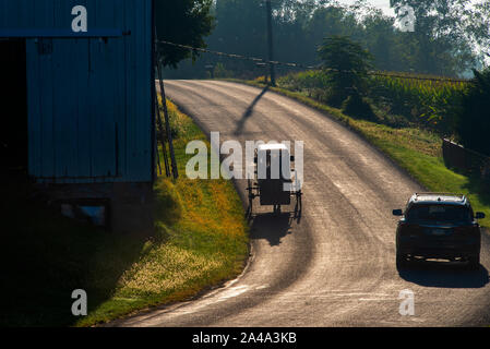 Amish Buggy geht Auto auf Landstraße Stockfoto