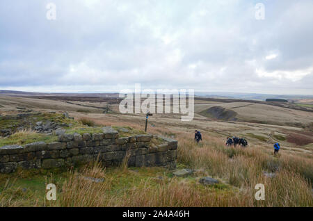 Wanderer auf dem Pennine Way, Haworth Moor, Yorkshire Stockfoto