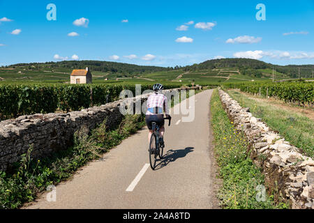 Reife weibliche Radfahrer Ausflüge in die Weinberge in der Nähe von Beaune, Frankreich. Stockfoto