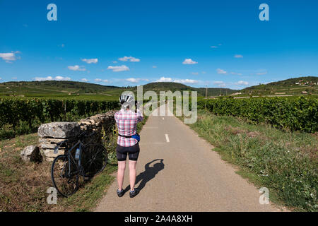 Reife weibliche Radfahrer Ausflüge in die Weinberge in der Nähe von Beaune, Frankreich. Stockfoto