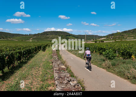 Reife weibliche Radfahrer Ausflüge in die Weinberge in der Nähe von Beaune, Frankreich. Stockfoto