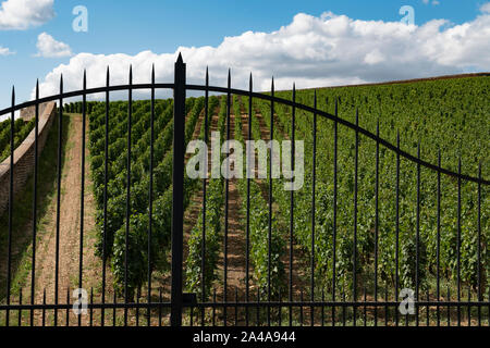 Das historische Weingut Domaine de la Pousse d'Or, Volnay, Burgund, Frankreich. Stockfoto