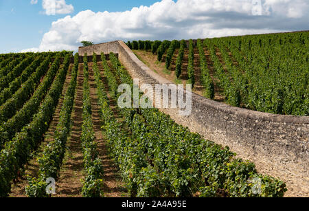 Das historische Weingut Domaine de la Pousse d'Or, Volnay, Burgund, Frankreich. Stockfoto