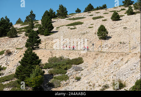 Gruppe von Reitern, die Bewältigung der berühmten Besteigung des Mont Ventoux, Provence, Frankreich. Stockfoto